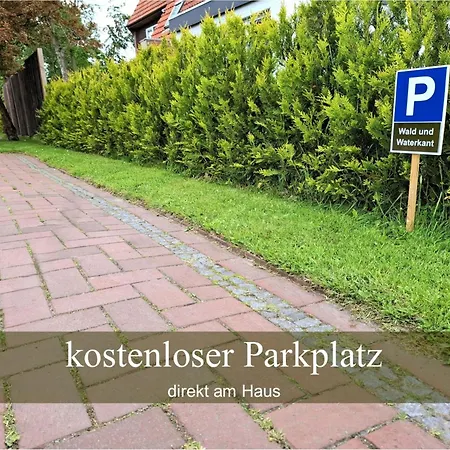 Wald Und Waterkant *