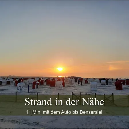 Wald Und Waterkant *