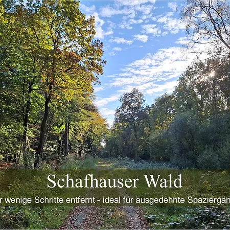 Wald Und Waterkant
