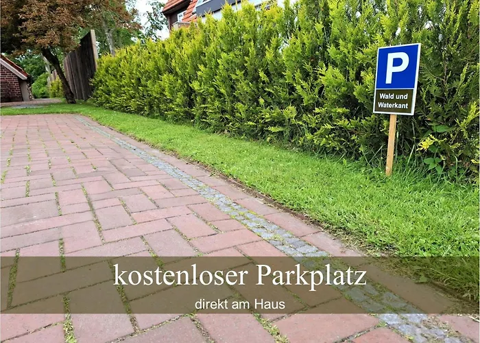 Wald Und Waterkant *