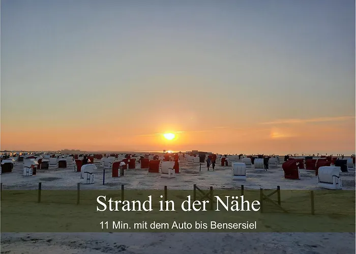 Wald Und Waterkant *